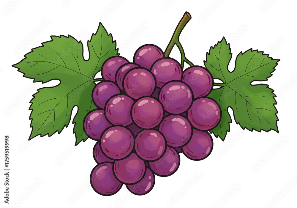 Fototapeta premium Vibrant bunch of fresh, juicy purple grapes with green leaves, perfect for healthy eating and natural ingredient themes.