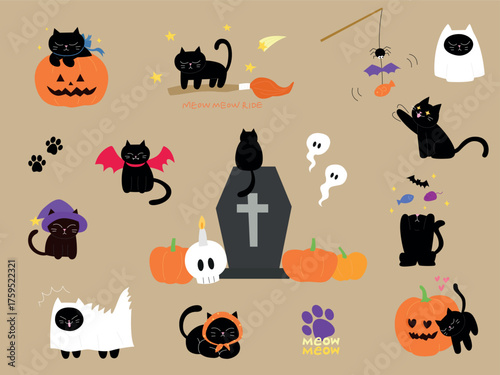 할로윈데이 까망 고양이