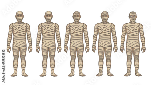 Five mummies standing in a row against a white background