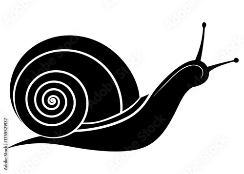 Minimalist black and white snail illustration with spiral shell on white background