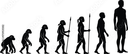 Evolution of man concept showing human development stages from ape to modern intelligent human silhouette, anthropology scientific history illustration vector.