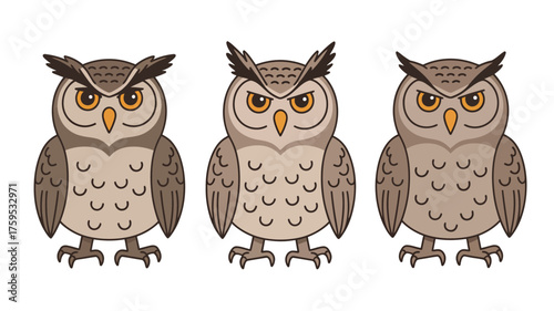 Three cartoon owls standing side by side with detailed feathers