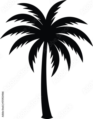 Palm tree silhouette vector art illustration