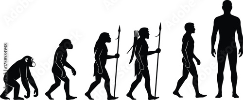 Human evolution silhouette illustration showing transformation from ape to modern man, evolution stages concept representing anthropology science and biological development