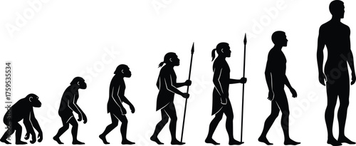 Human evolution stages illustration showing progression from ape to modern man silhouette, anthropology and science concept vector for educational design.