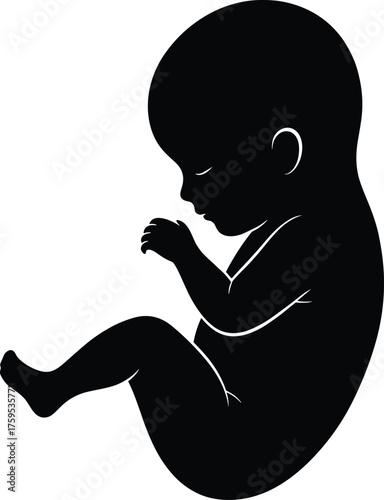 Human fetus silhouette vector illustration showing prenatal development, anatomy, medical education, pregnancy concept, isolated black embryo graphic design