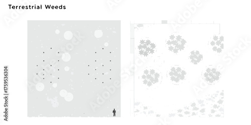 Abstract representation of terrestrial weeds and plant growth patterns