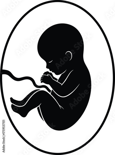 Minimalist black silhouette of human fetus curled in womb, prenatal development concept for medical, educational, pregnancy awareness design