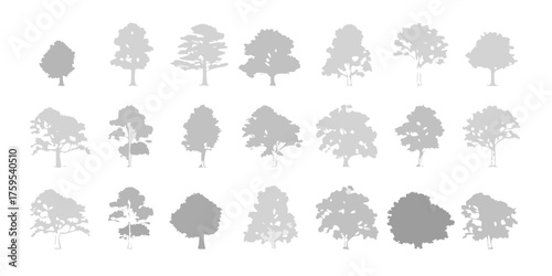 Collection of diverse grey tree silhouettes on a white background representing different species and shapes