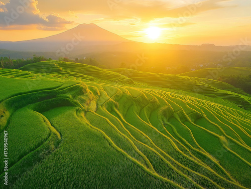Serene Sunrise Over Terraced Rice Fields Captured from the Sky