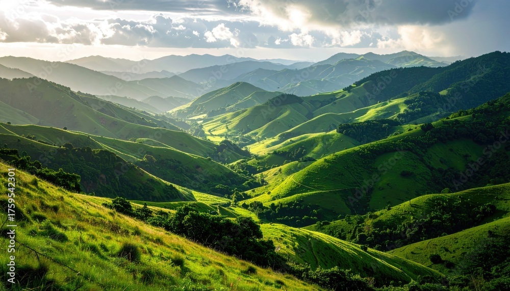 Fototapeta premium Rolling Green Hills Bathed in Golden Sunlight With Dramatic Clouds Overhead