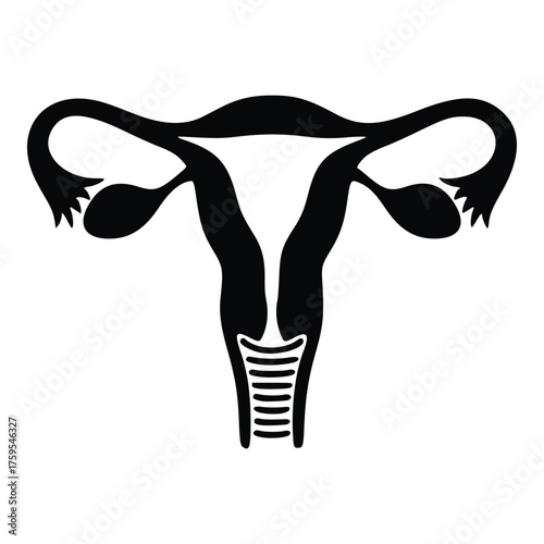 Female Reproductive System Silhouette Icon for Medical and Educational Use.