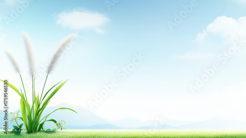 Green grass with white fluffy flowers under bright blue sky with soft clouds and distant mountains creating peaceful natural scene
