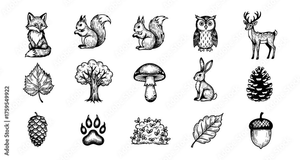 Obraz premium Hand drawn woodland animals and nature elements in black and white ink art style