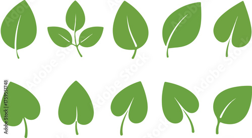 Set of Simple Green Leaves Icons and Nature Elements leaf, green, nature, icon, set, collection, simple, environment