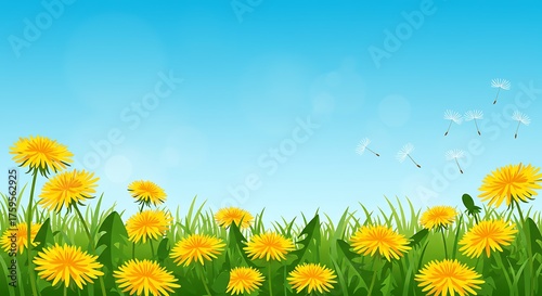Vibrant dandelions blooming in green grass under a clear blue sky
