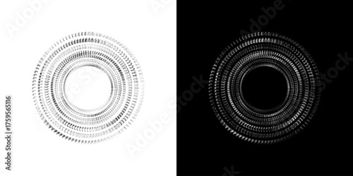 Dynamic abstract spiral sound wave rhythm lines. Circular spiral sound wave rhythm of lines. Circular futuristic abstract lines, black and white background.	