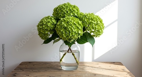 Vibrant green hydrangea flowers in a clear glass vase on wooden table