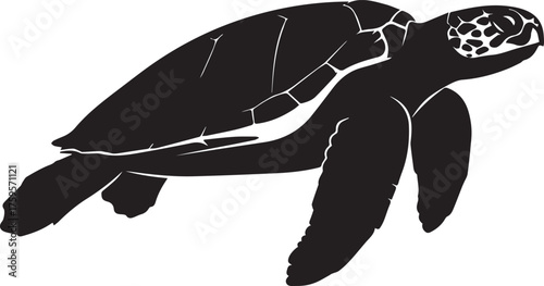 Majestic sea turtle silhouette gracefully swimming through ocean waters underwater scene