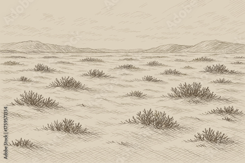 Vector ground suggesting sketch scene crosshatched frozen texture shrubs tundra illustration