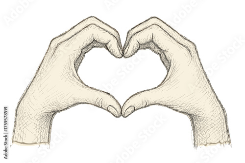 Shape delicate pencil two heart shaped illustration hands wrists vector texture crosshatch