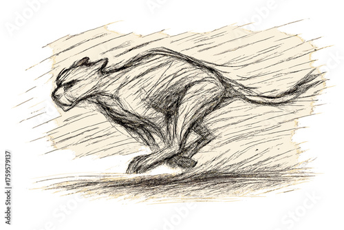 Sketch jagged vector lines suggesting swift animal running illustration shading