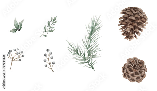 Christmas water color pinecone and leaves