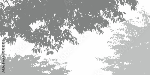 Monochromatic silhouette of tree leaves and branches against a white background
