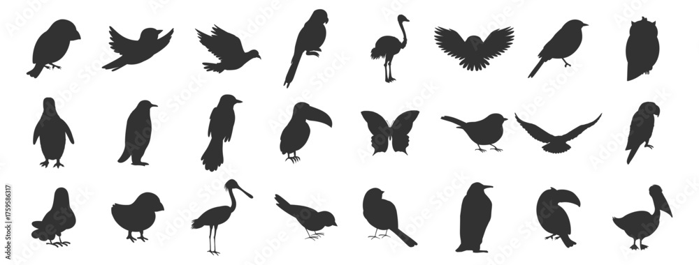 Obraz premium Bird silhouettes set. Various flying and sitting birds vector illustration on transparent background