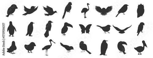 Bird silhouettes set. Various flying and sitting birds vector illustration on transparent background