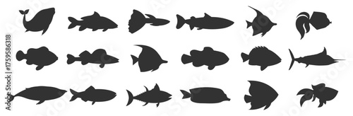 Sea animals and fish silhouette set. Marine creatures and underwater vector illustration on transparent background