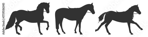 Horse silhouettes set. Various running and standing horses vector illustration on transparent background
