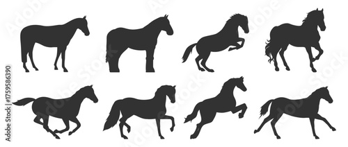 Horse silhouettes set. Various running and standing horses vector illustration on transparent background