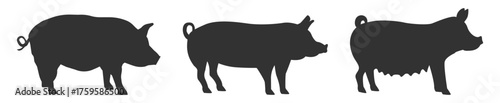 Pig silhouettes set. Domestic farm animals standing vector illustration on transparent background