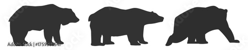 Bear silhouettes set. Wild forest animal shapes in standing and walking poses vector illustration on transparent background