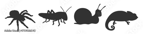 Insect and reptile silhouettes set. Various small creatures vector illustration on transparent background