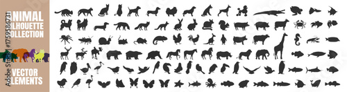 Big animal silhouettes collection. Various wild, sea and domestic species vector illustration on transparent background