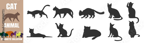 Cat silhouettes set. Various poses of domestic feline animals vector illustration on transparent background
