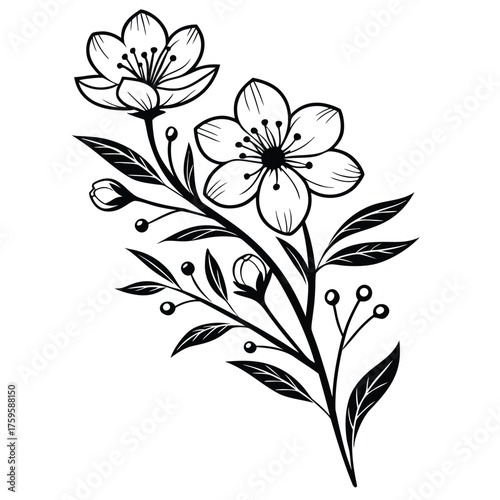 Elegant Cherry Blossom Branch Illustration in Black and White for Creative Projects and Springtime Designs with Delicate Petals
