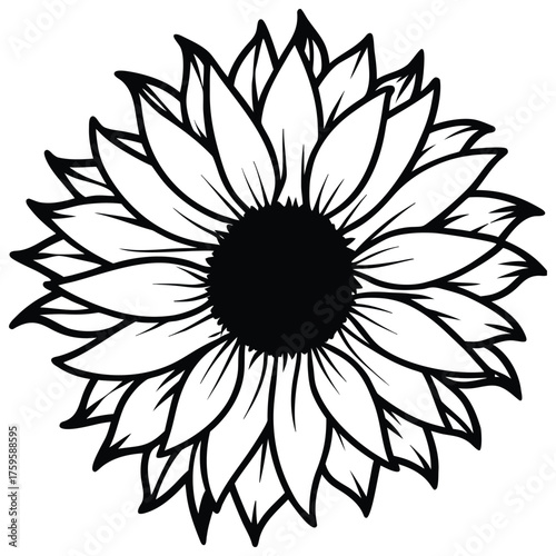 Elegant sunflower outline drawing depicting floral beauty perfect for artistic creations botanical illustrations nature inspired designs and simple black and white art projects