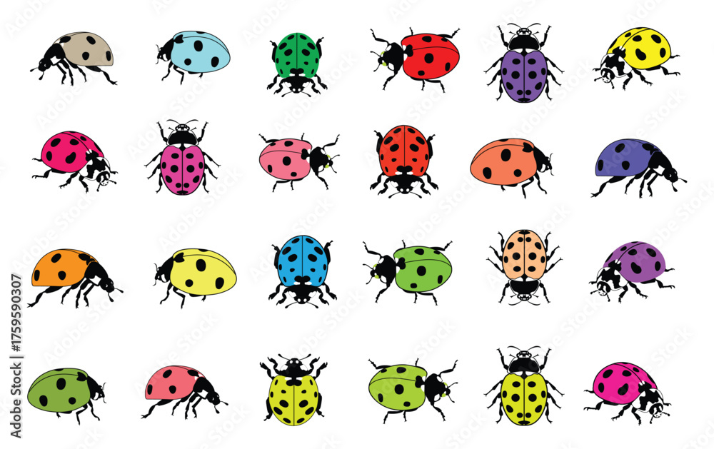 Fototapeta premium Set of colorful ladybug silhouettes, small insects. Vector graphics. Ladybug isolated on white background.