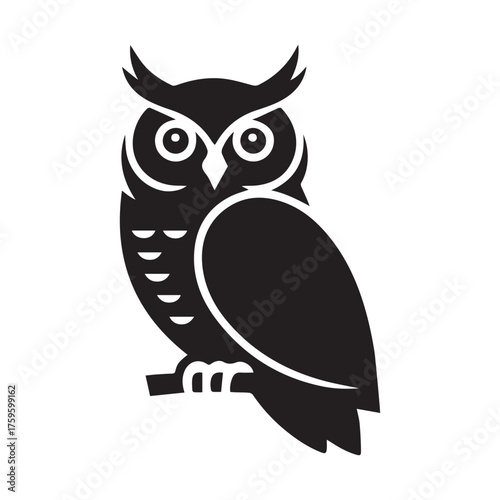 owl on a branch