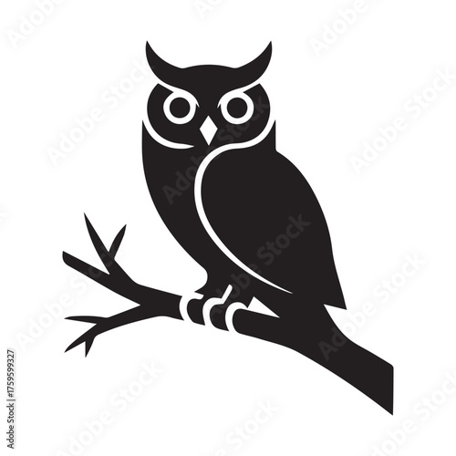 owl sitting on branch