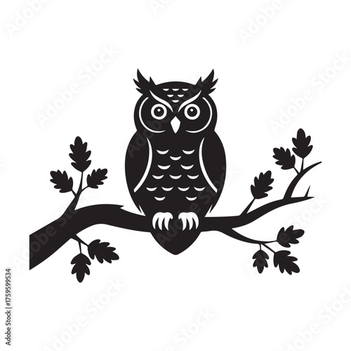 owl on tree