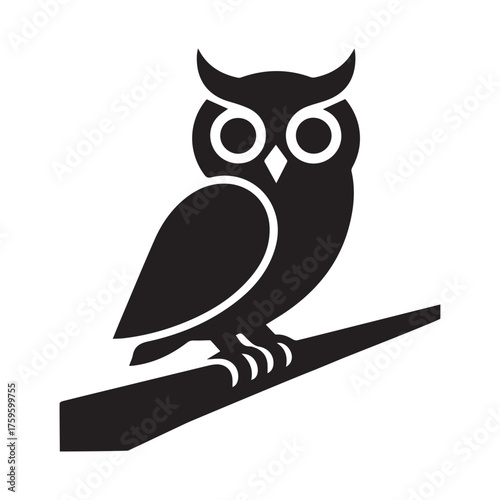 owl on branch