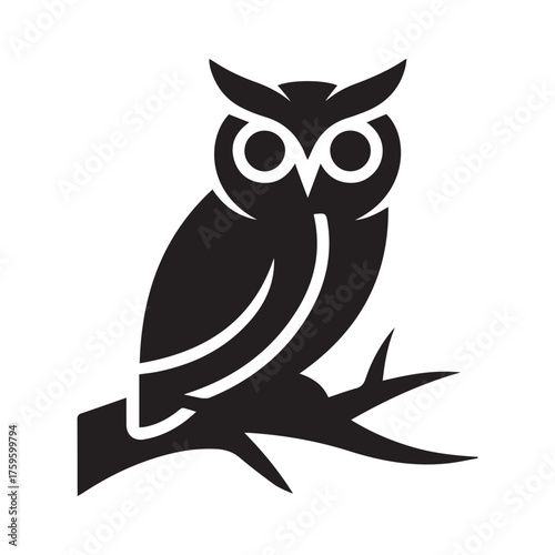 owl on white background