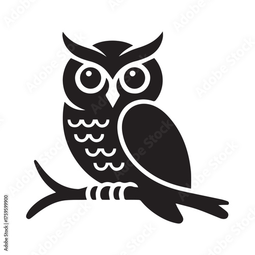 owl sitting on branch