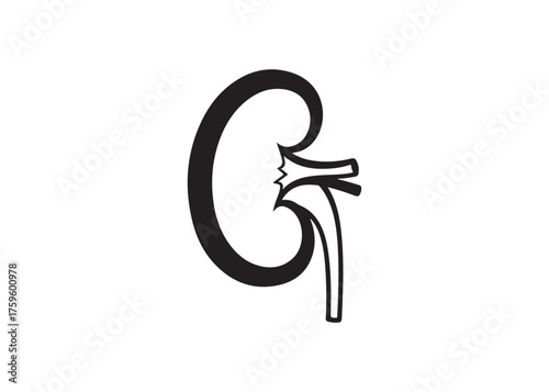 Vector art of human kidney silhouette for medical illustration