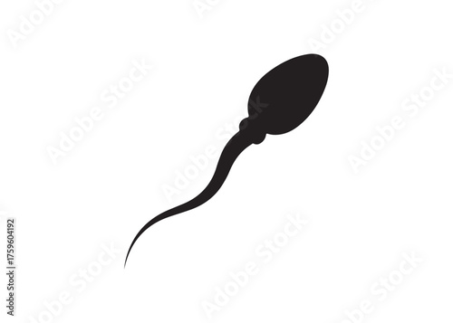 Vector art of sperm cell for reproductive biology concept