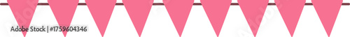 Pink Pennant Illustration